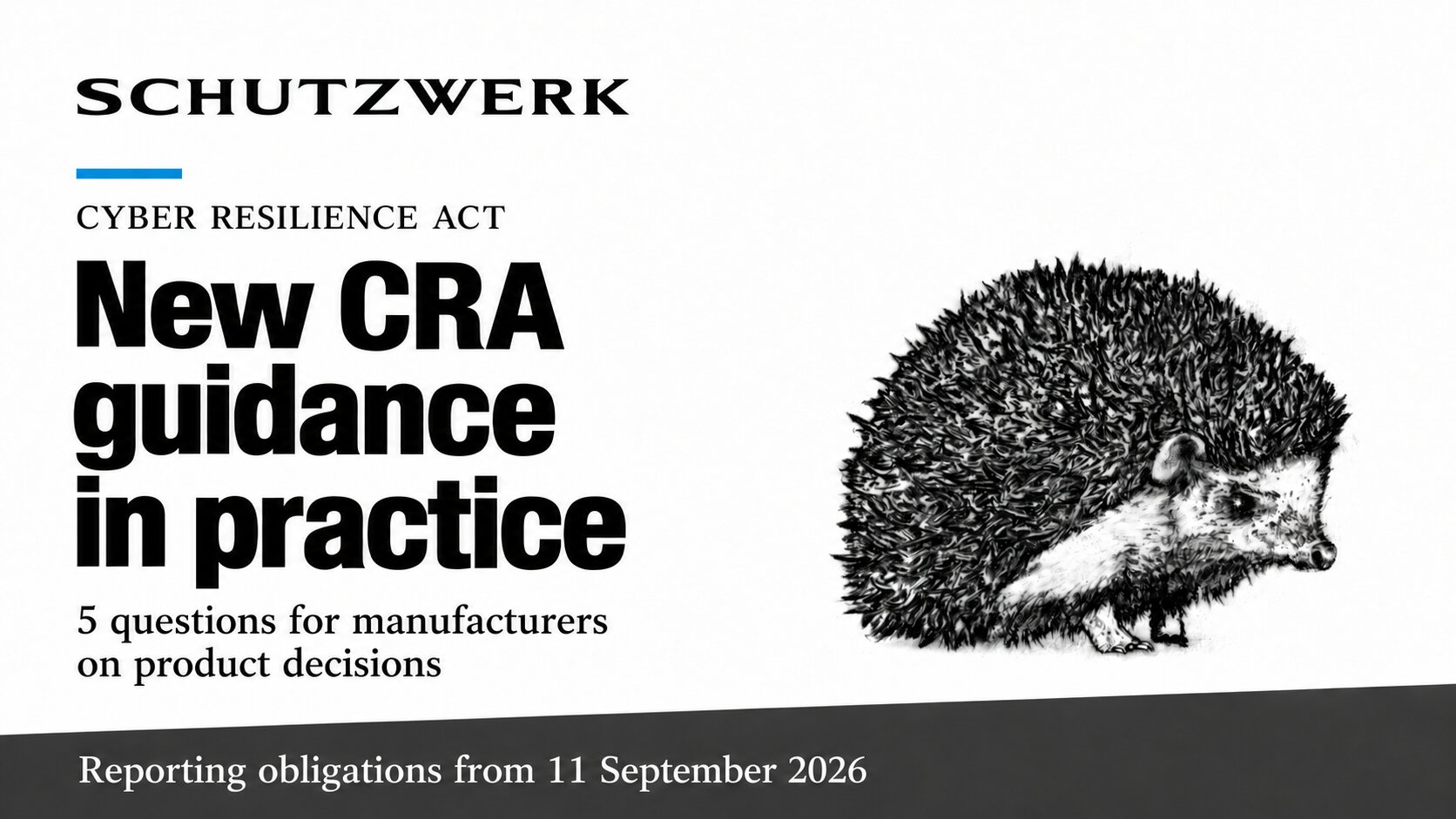 preview-image for CRA guidance 2026: five product decisions