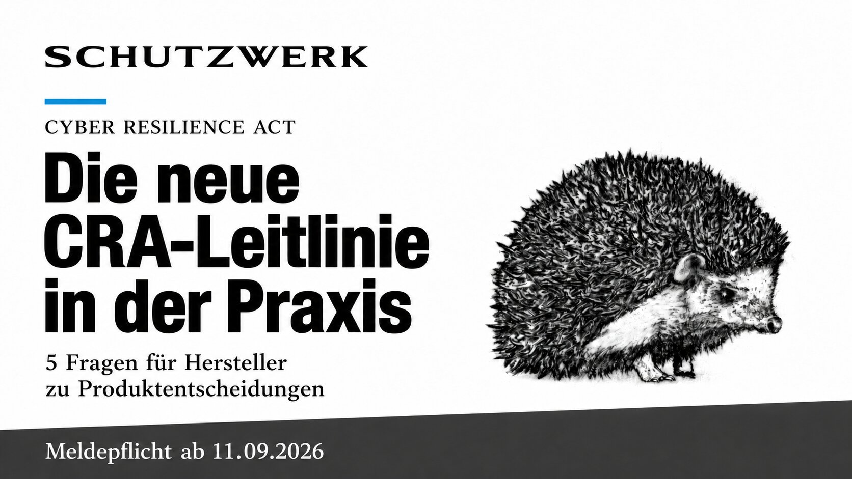 preview-image for CRA-Leitlinie 2026: Fünf Produktentscheidungen