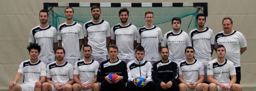preview-image for SG-Ulm-Wiblingen-Handball-SCHUTZWERK.png